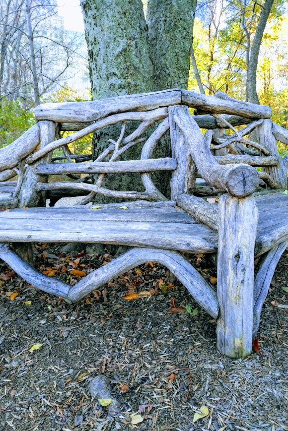 img_20171112_1227423-effects