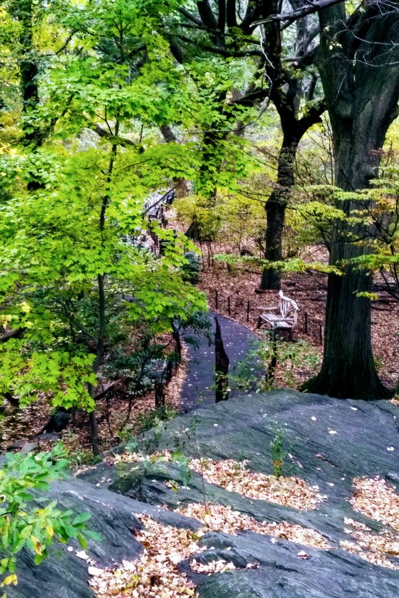 img_20171118_1104181