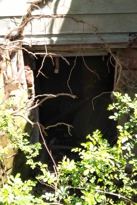 img_20180509_1133248